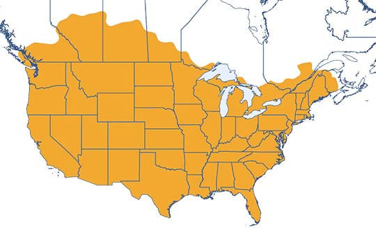 security integrator subcontractor network